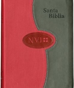 Biblia Compacta Letra Grande Nvi Vino Gris
