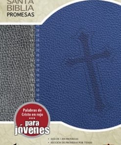 Biblia de promesas para jóvenes NTV azul Gris