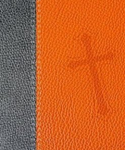 Biblia de Promesas - Edición Jóvenes NTV - Naranja Gris