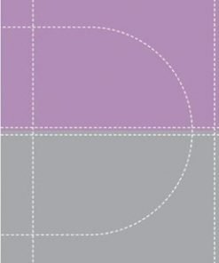 Biblia Thompson Personal RVR1960 gris lila