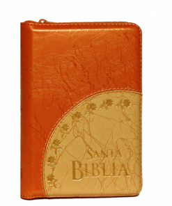 Biblia RVR1960 Troquelada Naranja Beige
