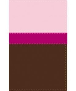 Biblia Héroes NVI Lila Marron