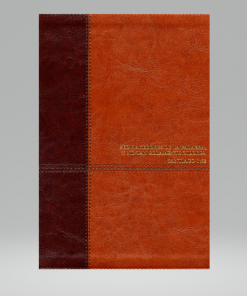 Biblia De Estudio Diario Vivir Nueva Edición Café RVR1960