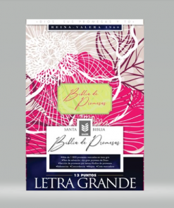Biblia de Promesa Letra Grande Reina Valera-1960 Floral Moderno - Indice