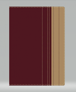 Biblia Lectura Facil/RVR77/Rojo-Cafe