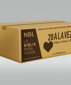 Caja De Biblias/Latinoamericana/Misionera/28 A La Vez/28 Unidades