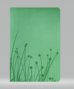 Biblia/RVR/Personal/Imitacion/Verde/Pradera