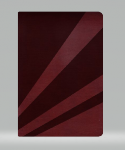 Biblia/RVR/Personal/Imitacion/Reflejos Cobrizos