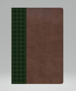 Biblia De Estudio Scofield/RVR60/Simil Piel/ Verde Oscuro/Castaño
