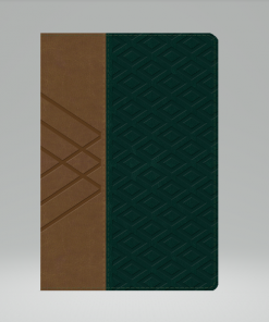 Biblia/RVR/Letra Grande/Manual/Referencias/Simil Piel/Habano/Verde Oscuro