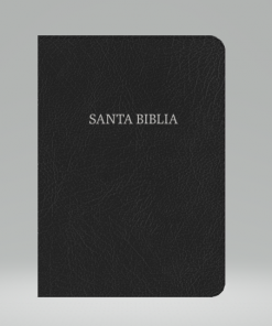 Biblia Letra Gigante Negro Piel Fabricada - NVI