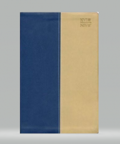 Biblia Bilingue Dos Tonos Azul-Beige