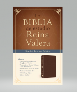 La Biblia de estudio Reina Valera - Piel Fabricada Marrón