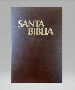 Biblia Pratt - Versión Moderna