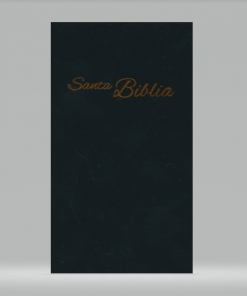 Biblia Económica - RVA 2015 - Negra