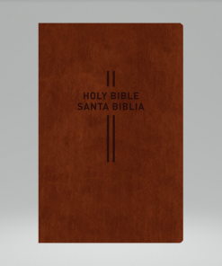 Biblia Bilingüe - NLT-NTV -Café