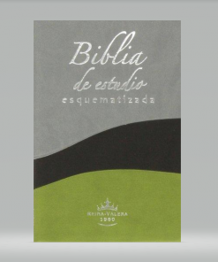 Biblia De Estudio Esquematizada - RVR 1960 -Piel - Dos Tonos - Gris-Verde