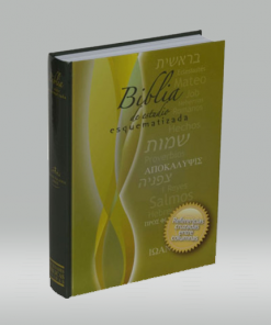 Biblia De Estudio Esquematizada - RVR 1960 - Tapa Dura - Verde-Amarillo