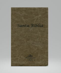 Biblia RVR60 - Gris - indice - Canto Dorado