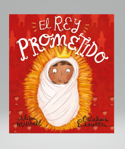El Rey Prometido - Alison Mitchell