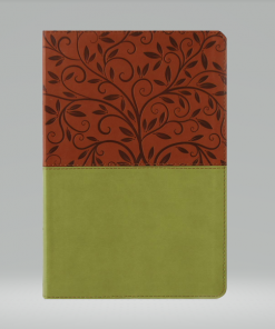 Biblia RVR1960 - Letra Grande - Imitación Piel - Verde/Marrón