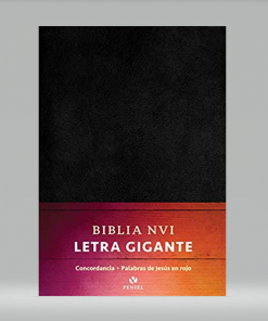 Biblia NVI - Letra Grande - 13 Puntos - Negro