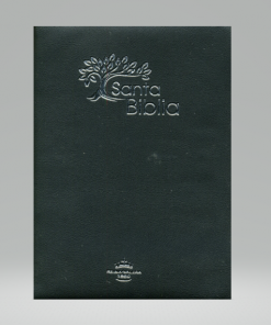 Biblia RVR60 - Canto Plateado - Negro - Cierre