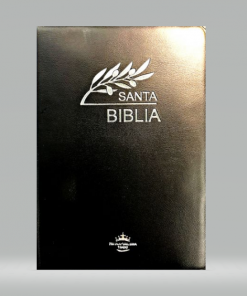 Biblia RVR 1960 -  Negra - Trigo - canto Plateado - Cierre - Indice