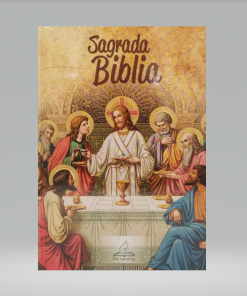 Biblia Dios Habla Hoy - Tapa Dura - Mediana - Camel