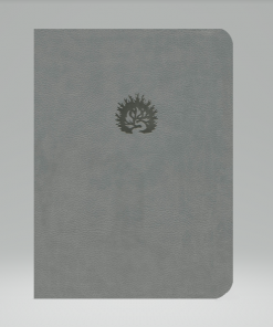 Biblia De Estudio De La Reforma LBLA Gris Claro