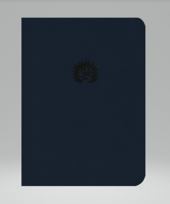 Biblia De Estudio De La Reforma LBLA Azul Oscuro