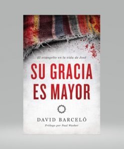 Su Gracia es Mayor - David Barceló