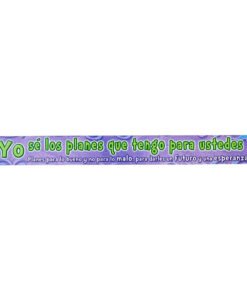 Tira Magnetica/Jeremias 29:11