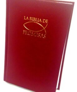 Biblia/RVR60/Promesas/Tapa Dura/Vino