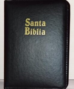 Biblia/ RVR045cZTILM/ Negro Canto Dorado Índice