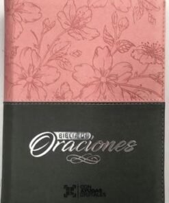 Biblia /RVR056cZLG/ Rosado Gris Canto Plateado Oraciones