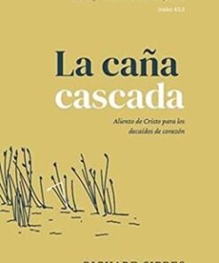 Caña Cascada - Richard Sibbs