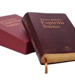 Biblia Espíritu Santo/ Vino Tinto Imitación Piel