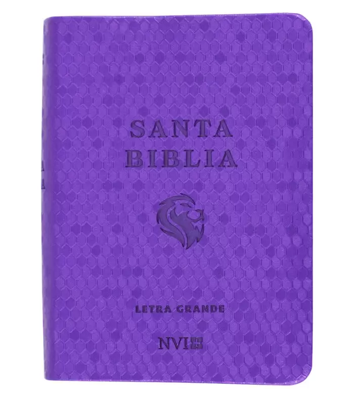 BIBLIA-NVI-LETRA-GRANDE-TAMANO-BOLSILLO-PANAL-VIOLETA-1-700x787