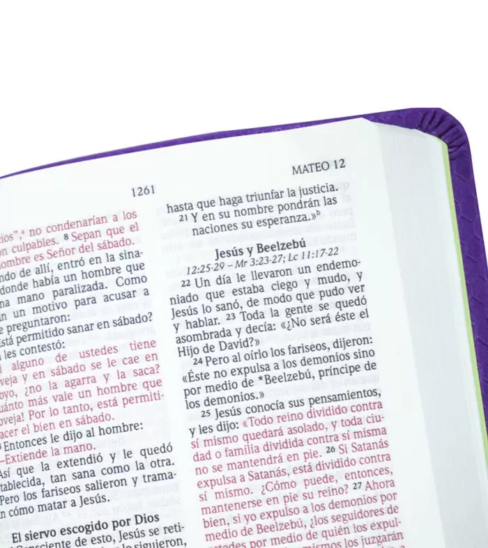 BIBLIA-NVI-LETRA-GRANDE-TAMANO-BOLSILLO-PANAL-VIOLETA-5-700x787