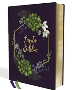 Biblia/NVI/Revisión 2022/Artística/Tapa Dura/Canto Diseño/PJR