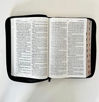 61uqZfK7uTL._AC_UF350,350_QL80_