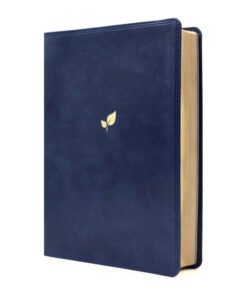 Biblia NVI/Lucado/Palabra De Aliento/Azul/Interior A Dos Colores
