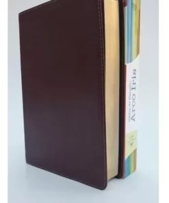 Biblia De Estudio Arco Iris RVR-Chocolate-Símil Piel