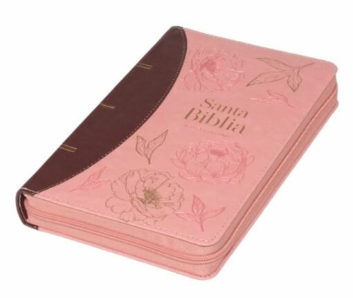 biblia-letra-FIL2-510x431