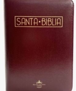 Biblia /RVR025cZTILMa PJR/ Vinotinto Canto Dorado Índice