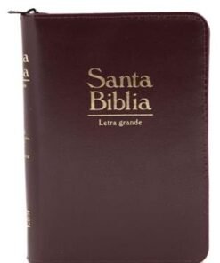 Biblia / RVR055cZTILGa/ Vinotinto Indice Canto Dorado