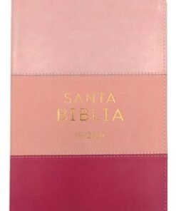 Biblia/RVR2020/Tamaño 074/Letra Grande/12 Puntos/Tricolor Rosa