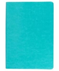 Biblia NVI/080cLG/Aguamarina/Letra 13 Puntos