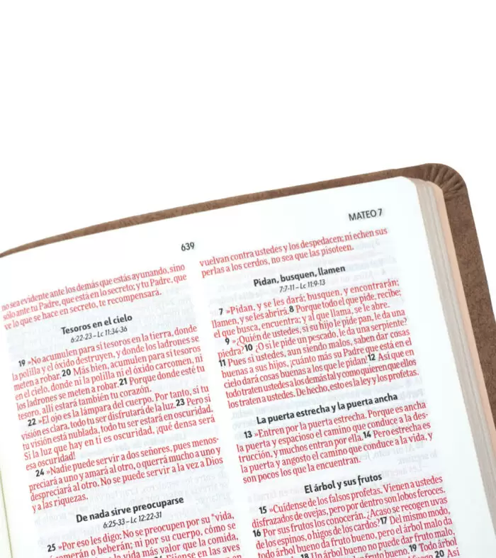 BIBLIA-NVI-ULTRAFINA-EXCELENCIA-MARRON-4-700x787